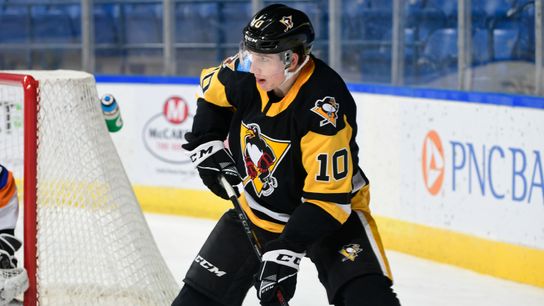 O'Connor 'feeling like myself again' in AHL stint taken in Buffalo, N.Y. (Penguins)